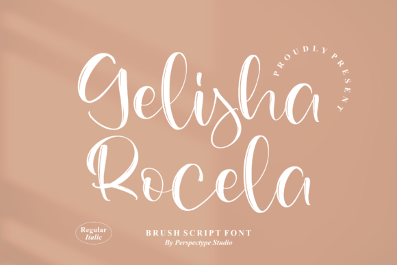 Boost Campaign Clarity with the Gelisha Rocela Typeface