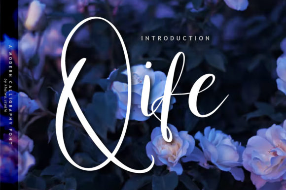 Qife Font Review: A Timeless Script for Web Design