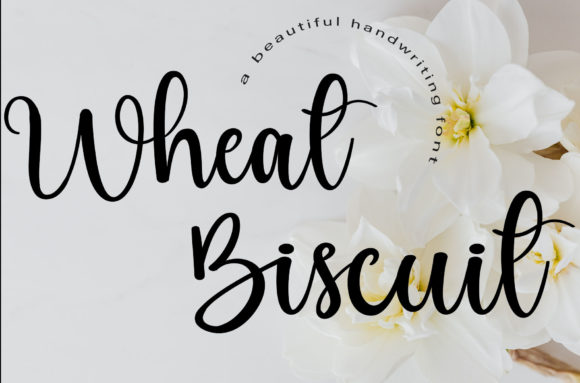 Wheat Biscuit: A Flowing Script Font for Web Design